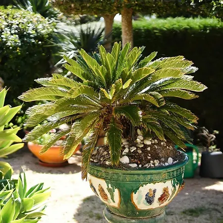 Casa Mandalin Carvoeiro (Lagoa)