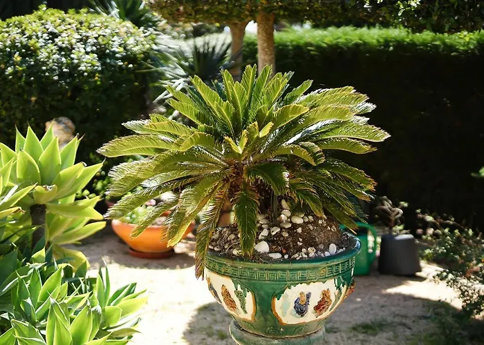 Casa Mandalin Carvoeiro (Lagoa)